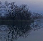 Fog Lake