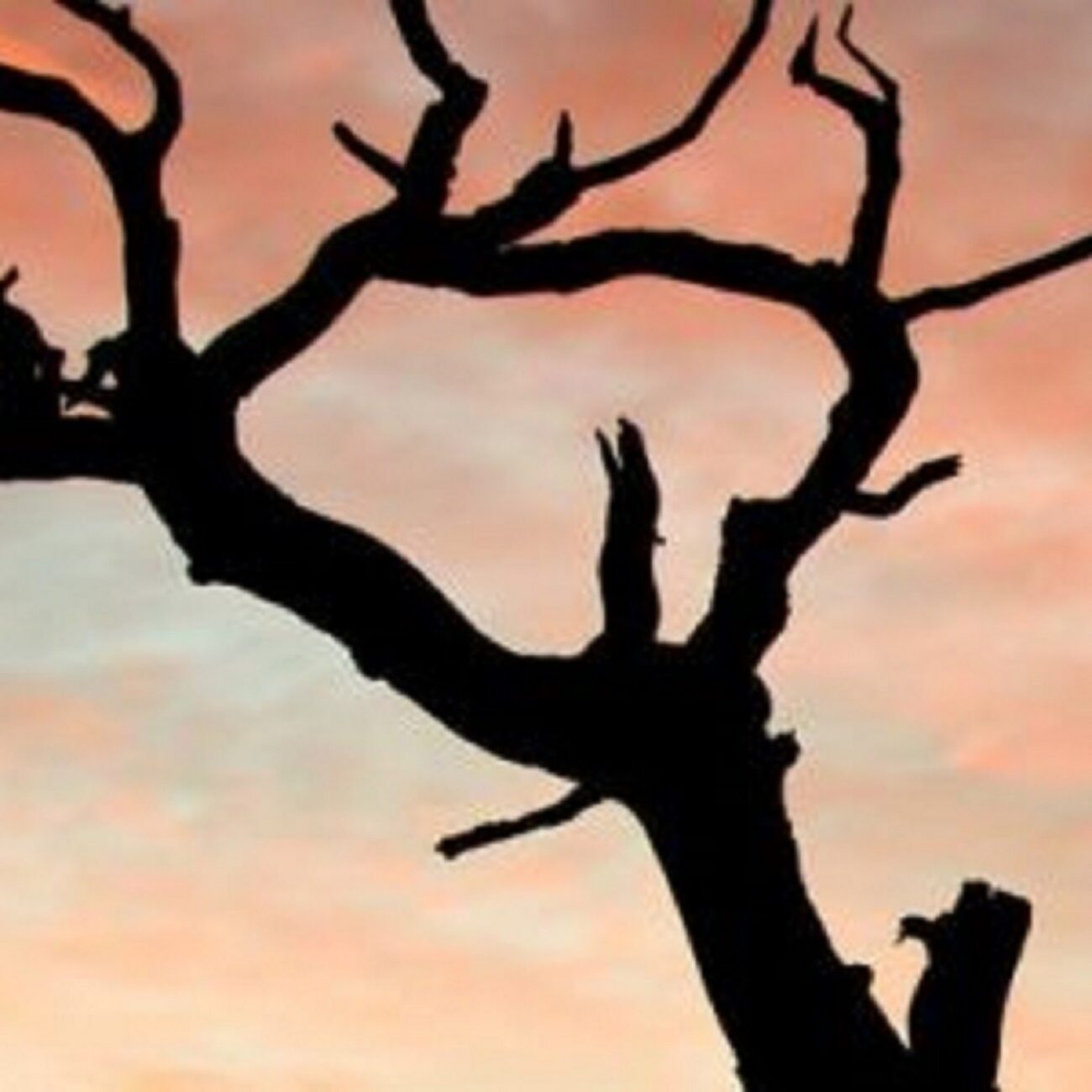 Ambientblog Mixes