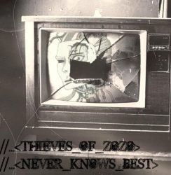 Thieves of Zozo – Never Knows Best