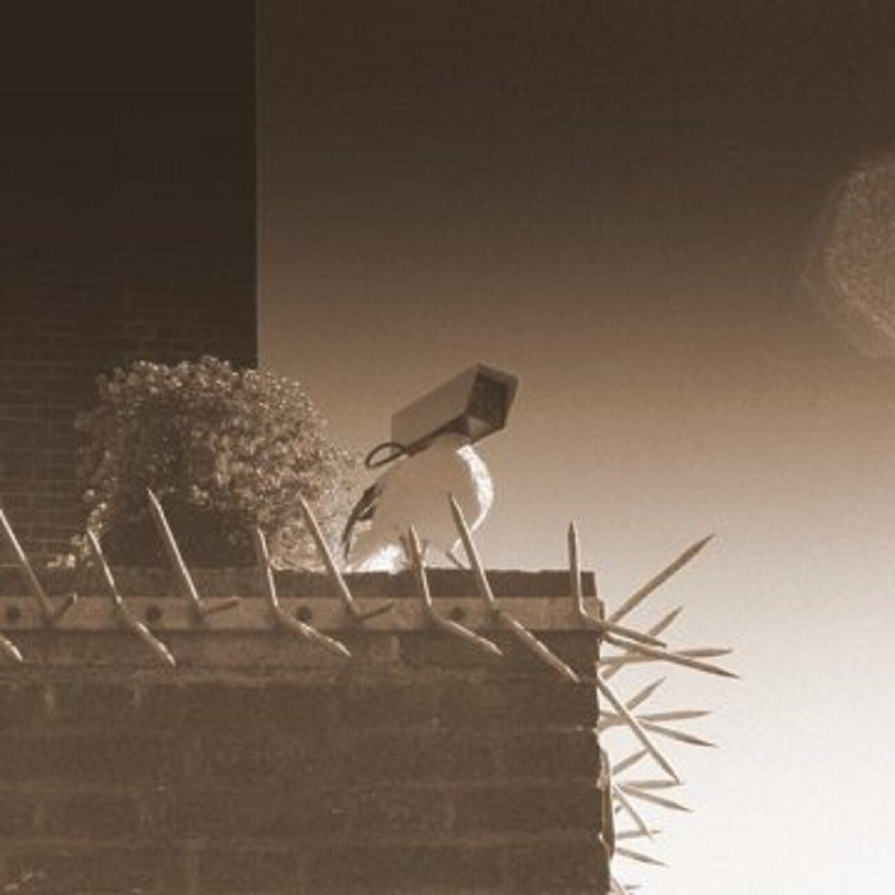 Ambientblog Mixes