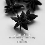 Ambit