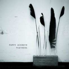 Poppy Ackroyd Feathers
