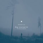 Dag Rosenqvist - Forest Diaries