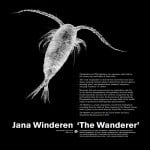 Jana Winderen - The Wanderer