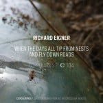 Richard Eigner - When the Days