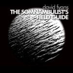 David Fyans - Somnambulist