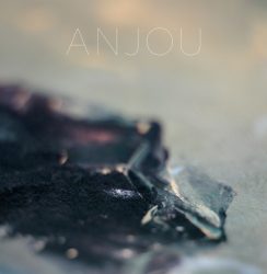 Anjou * Hotel Neon * Olan Mill