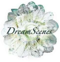 DreamScenes – October 2018