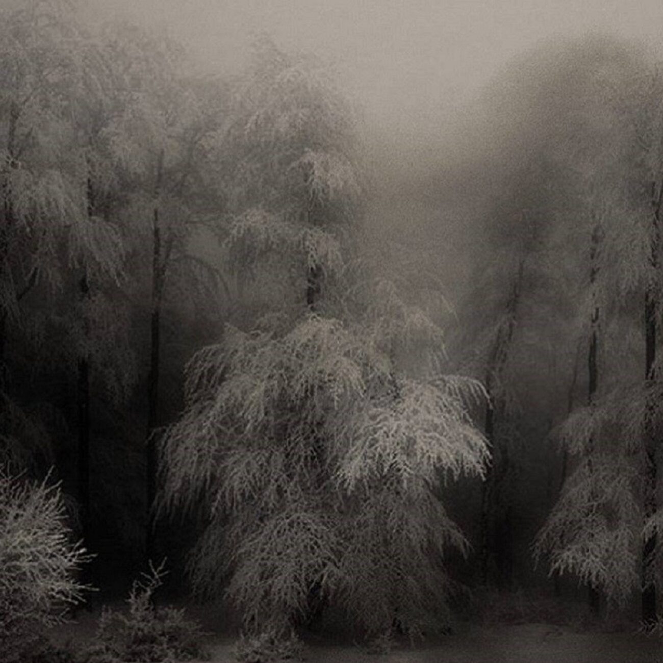 Ambientblog Mixes