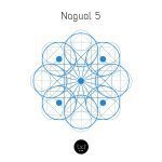 Nagual 5