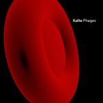Kalte - Phages