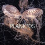 Planktos